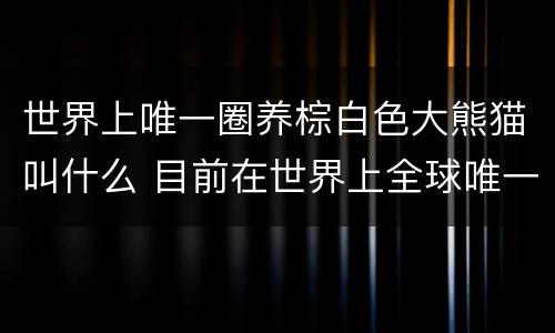世界上唯一圈养棕白色大熊猫叫什么 目前在世界上全球唯一圈养棕白色大熊猫叫什么