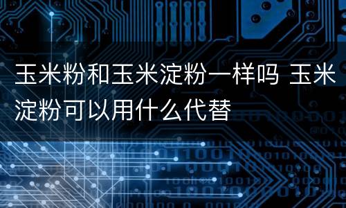 玉米粉和玉米淀粉一样吗 玉米淀粉可以用什么代替