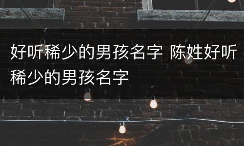 好听稀少的男孩名字 陈姓好听稀少的男孩名字