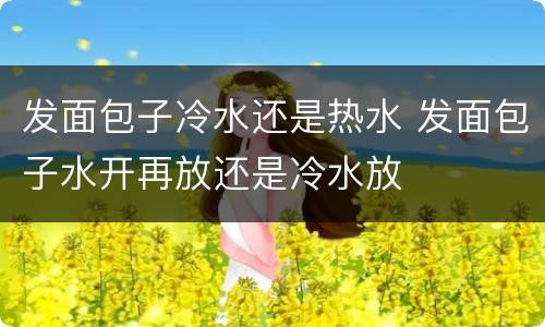 发面包子冷水还是热水 发面包子水开再放还是冷水放