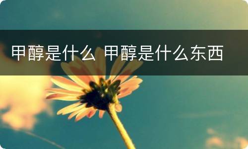 甲醇是什么 甲醇是什么东西