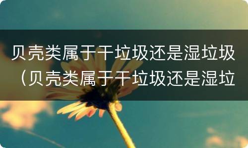 贝壳类属于干垃圾还是湿垃圾（贝壳类属于干垃圾还是湿垃圾呢）