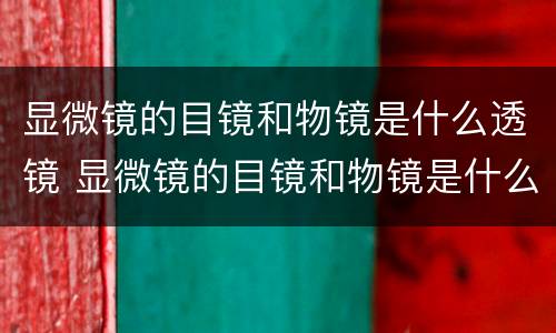 显微镜的目镜和物镜是什么透镜 显微镜的目镜和物镜是什么透镜的一种
