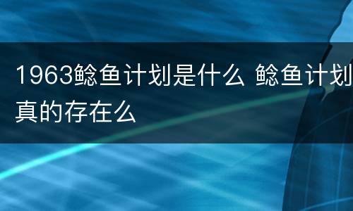 1963鲶鱼计划是什么 鲶鱼计划真的存在么