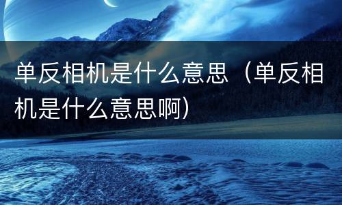 单反相机是什么意思（单反相机是什么意思啊）
