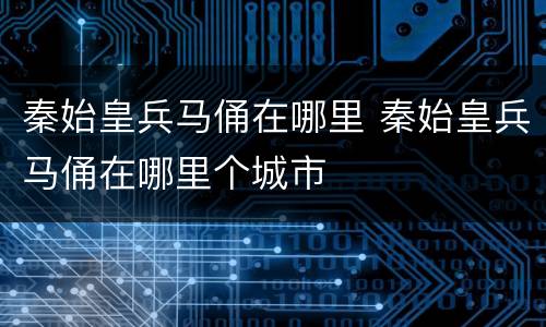 秦始皇兵马俑在哪里 秦始皇兵马俑在哪里个城市