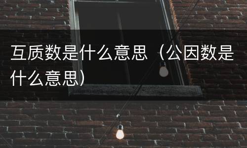 互质数是什么意思（公因数是什么意思）