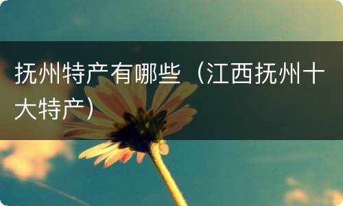 抚州特产有哪些（江西抚州十大特产）