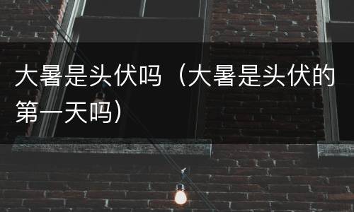 大暑是头伏吗（大暑是头伏的第一天吗）
