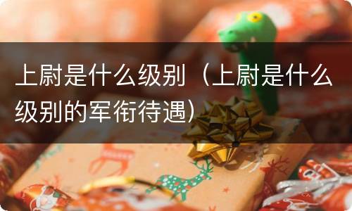 上尉是什么级别（上尉是什么级别的军衔待遇）