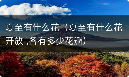 夏至有什么花（夏至有什么花开放 ,各有多少花瓣）