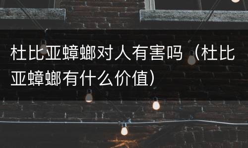 杜比亚蟑螂对人有害吗（杜比亚蟑螂有什么价值）
