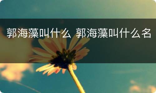 郭海藻叫什么 郭海藻叫什么名