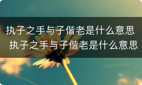 执子之手与子偕老是什么意思 执子之手与子偕老是什么意思啊怎么读