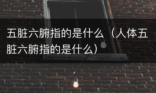 五脏六腑指的是什么（人体五脏六腑指的是什么）