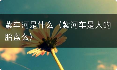 紫车河是什么（紫河车是人的胎盘么）
