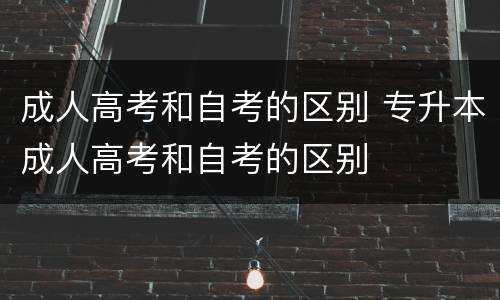 成人高考和自考的区别 专升本成人高考和自考的区别