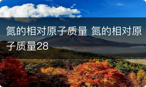 氮的相对原子质量 氮的相对原子质量28
