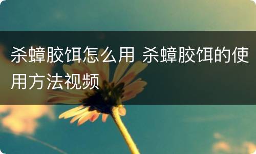 杀蟑胶饵怎么用 杀蟑胶饵的使用方法视频