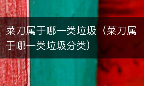 菜刀属于哪一类垃圾（菜刀属于哪一类垃圾分类）