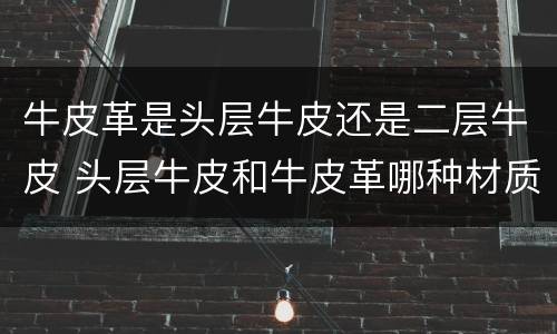 牛皮革是头层牛皮还是二层牛皮 头层牛皮和牛皮革哪种材质好