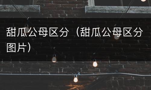 甜瓜公母区分（甜瓜公母区分图片）