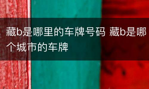 藏b是哪里的车牌号码 藏b是哪个城市的车牌