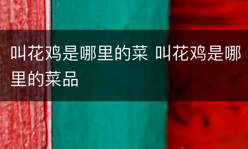 叫花鸡是哪里的菜 叫花鸡是哪里的菜品