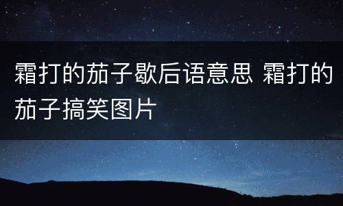 霜打的茄子歇后语意思 霜打的茄子搞笑图片