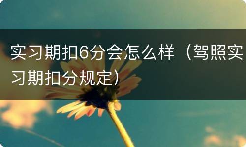 实习期扣6分会怎么样（驾照实习期扣分规定）
