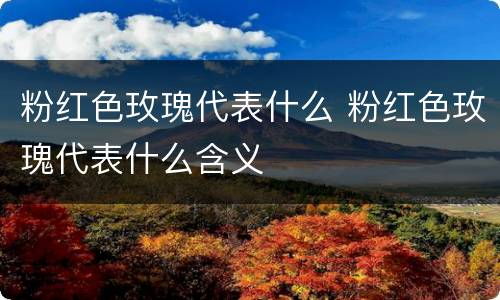 粉红色玫瑰代表什么 粉红色玫瑰代表什么含义