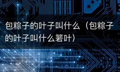 包粽子的叶子叫什么（包粽子的叶子叫什么箬叶）