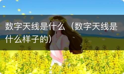 数字天线是什么（数字天线是什么样子的）