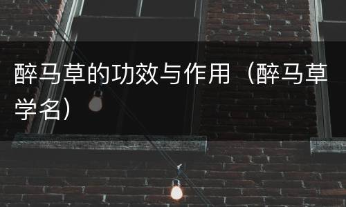 醉马草的功效与作用（醉马草学名）