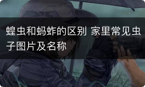蝗虫和蚂蚱的区别 家里常见虫子图片及名称