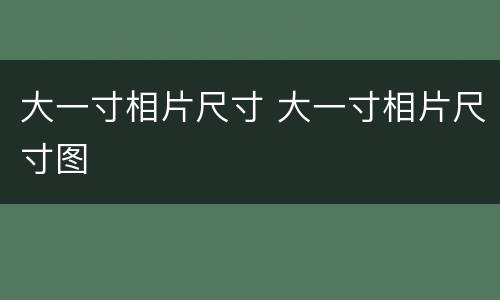 大一寸相片尺寸 大一寸相片尺寸图