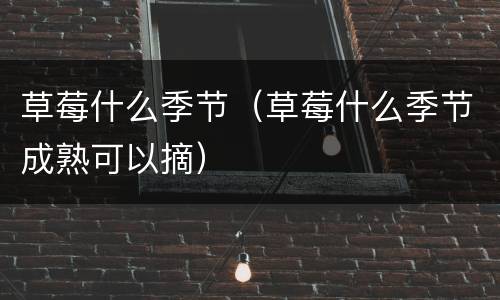 草莓什么季节（草莓什么季节成熟可以摘）