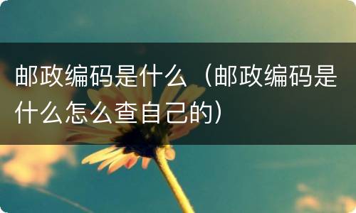 邮政编码是什么（邮政编码是什么怎么查自己的）