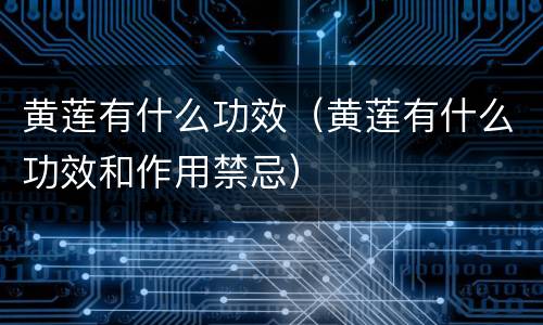 黄莲有什么功效（黄莲有什么功效和作用禁忌）
