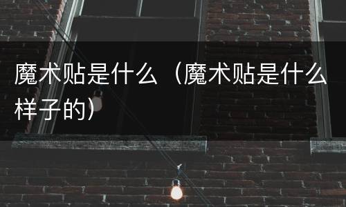 魔术贴是什么（魔术贴是什么样子的）