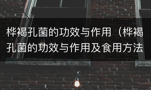 桦褐孔菌的功效与作用（桦褐孔菌的功效与作用及食用方法）