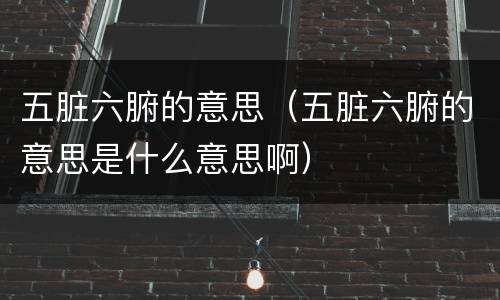 五脏六腑的意思（五脏六腑的意思是什么意思啊）