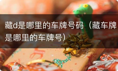 藏d是哪里的车牌号码（藏车牌是哪里的车牌号）
