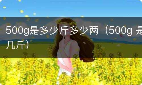 500g是多少斤多少两（500g 是几斤）