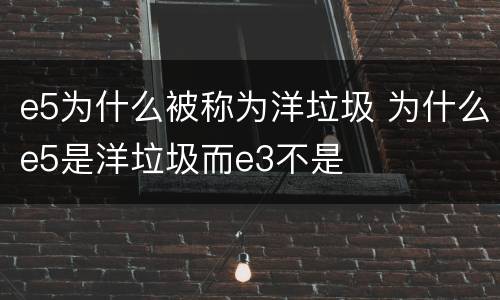 e5为什么被称为洋垃圾 为什么e5是洋垃圾而e3不是