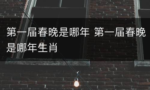 第一届春晚是哪年 第一届春晚是哪年生肖