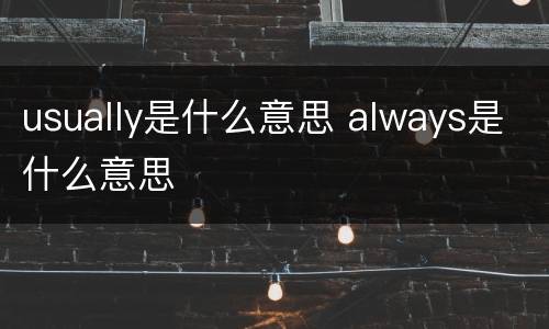 usually是什么意思 always是什么意思