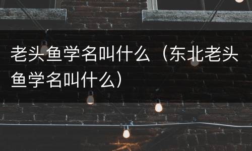 老头鱼学名叫什么（东北老头鱼学名叫什么）