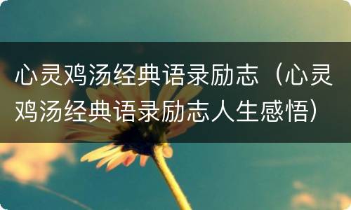 心灵鸡汤经典语录励志（心灵鸡汤经典语录励志人生感悟）