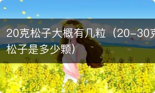 20克松子大概有几粒（20-30克松子是多少颗）